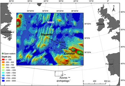 Persistent Enhancement of Micronekton Backscatter at the Summits of Seamounts in the Azores